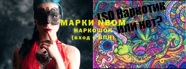 винт Алзамай