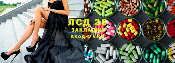 винт Алзамай