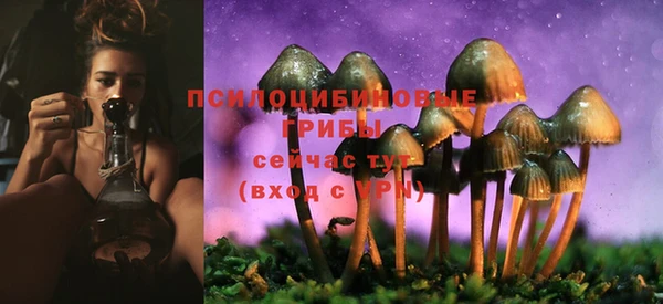 ГАЛЛЮЦИНОГЕННЫЕ ГРИБЫ Алексеевка