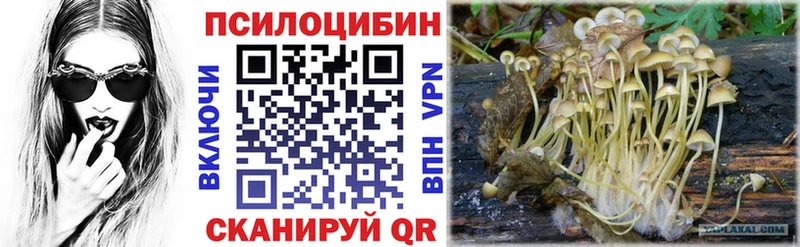 Псилоцибиновые грибы прущие грибы  kraken ONION  Добрянка 
